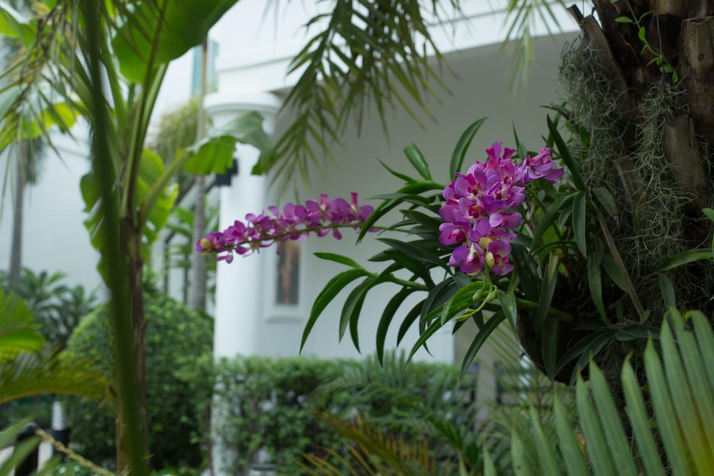 Marvel Holiday Boutique Villa Siem Reap Dış mekan fotoğraf